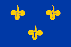 Vlag van Zoeterwoude