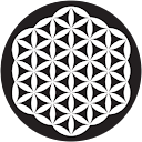 rigamortizzz profielfoto