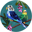 Omar Bencheikh profielfoto