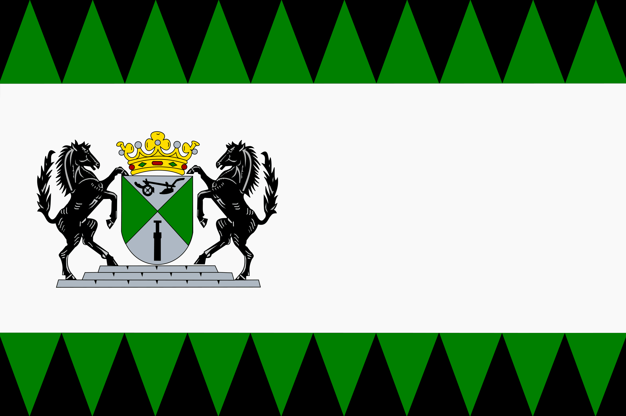 Vlag van Emmen