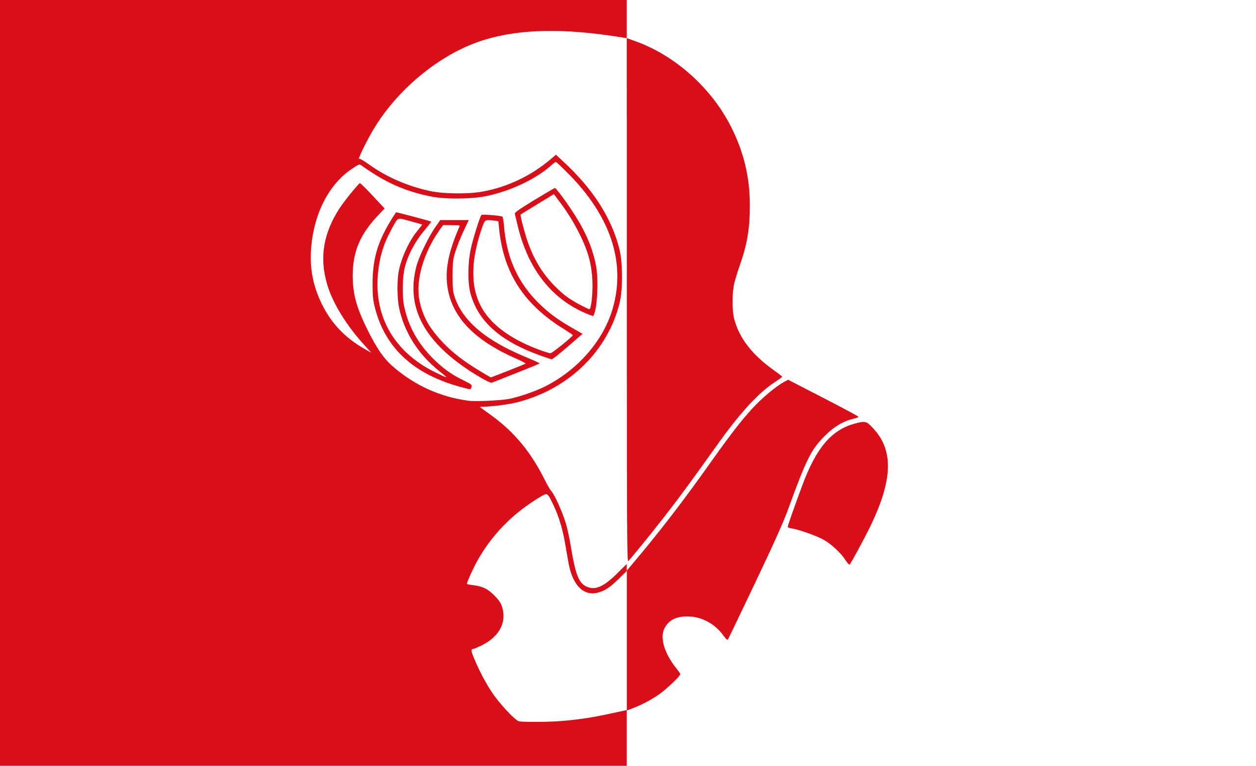 Vlag van Helmond